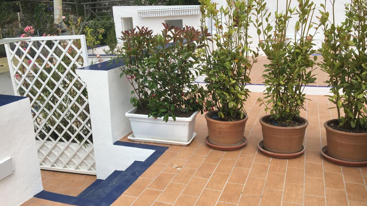 Panorama Da Cartolina Appartement Ischia Buitenkant foto